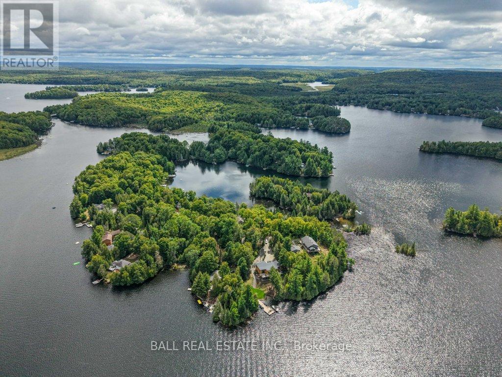 1432 Abrams Road, Highlands East (Cardiff Ward), Ontario  K0L 1C0 - Photo 49 - X12372406