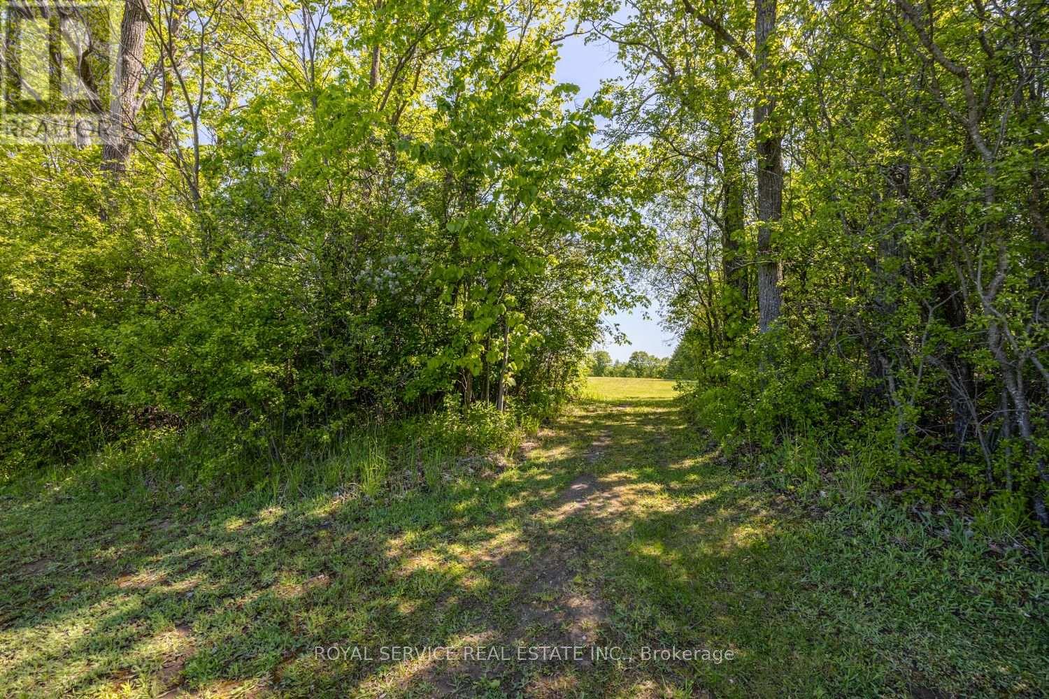 0 Highview Crescent, Cavan Monaghan (Cavan Twp), Ontario  K0L 1V0 - Photo 21 - X12373184