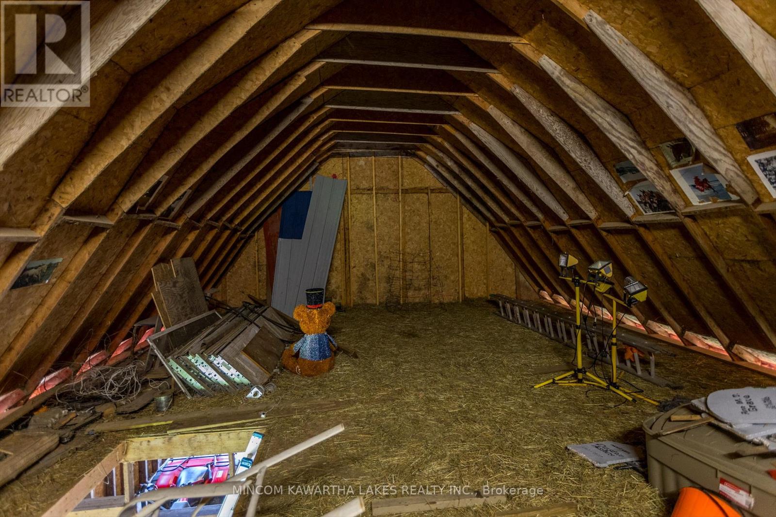 1405 Hiawatha Line, Otonabee-South Monaghan, Ontario  K9J 6X8 - Photo 38 - X12373406