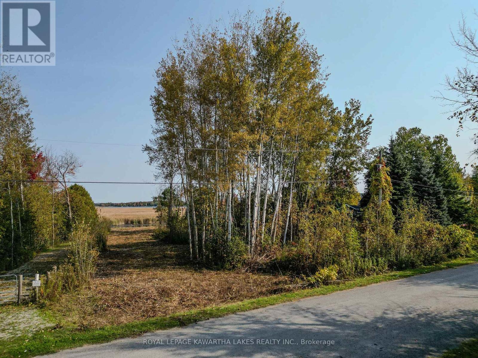Lt 14 Charlore Park Drive, Kawartha Lakes (Emily), Ontario  K0L 2W0 - Photo 10 - X12373557