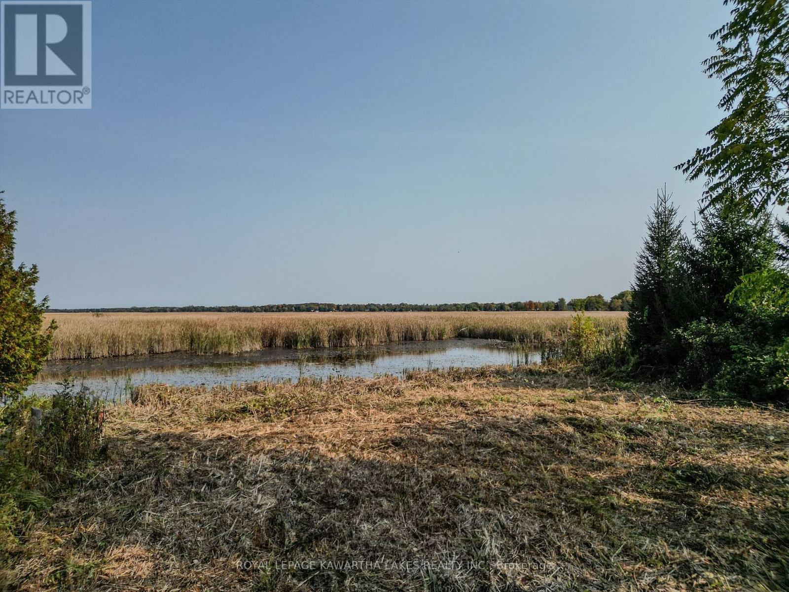 Lt 14 Charlore Park Drive, Kawartha Lakes (Emily), Ontario  K0L 2W0 - Photo 3 - X12373557