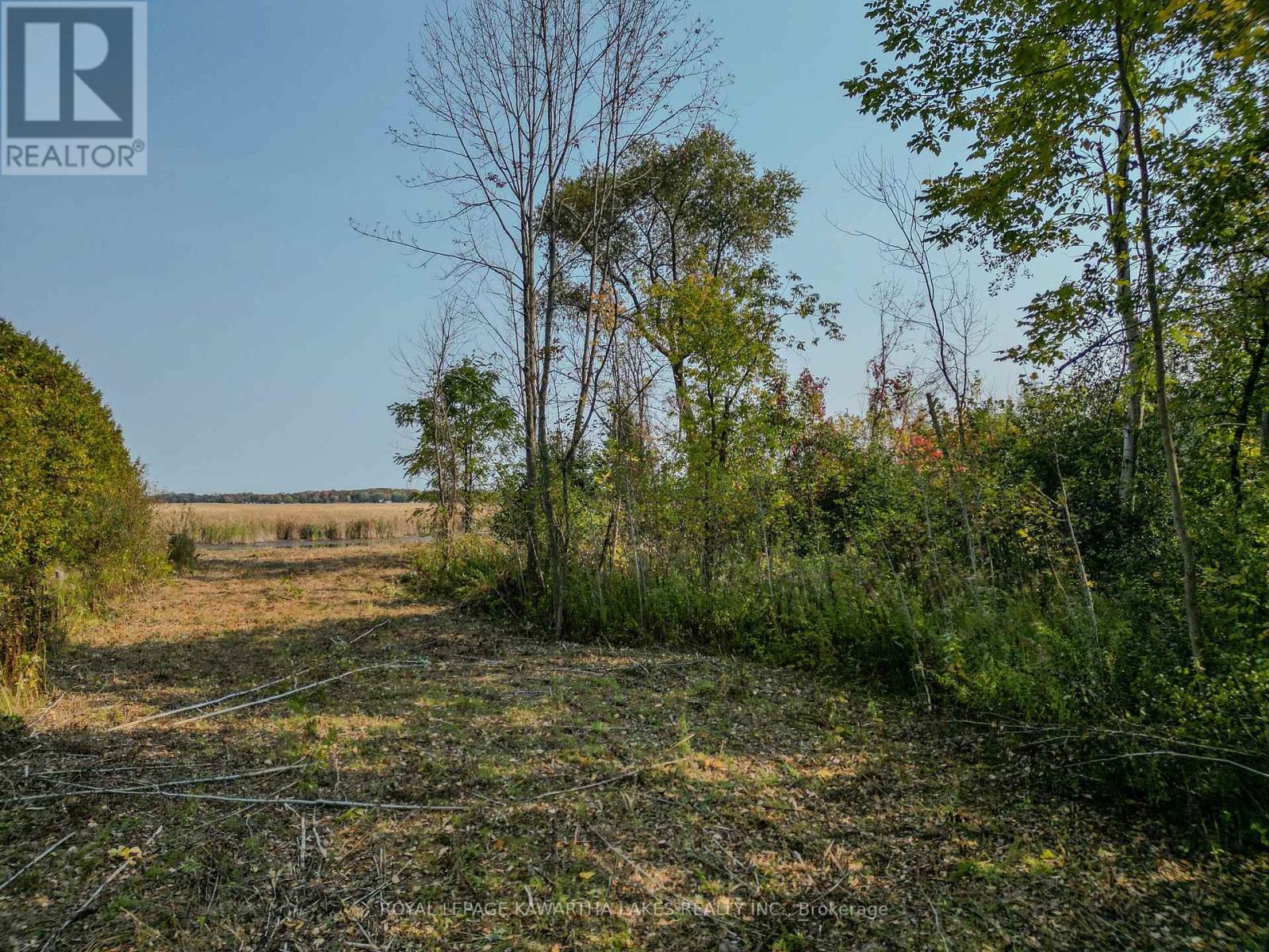 Lt 14 Charlore Park Drive, Kawartha Lakes (Emily), Ontario  K0L 2W0 - Photo 5 - X12373557