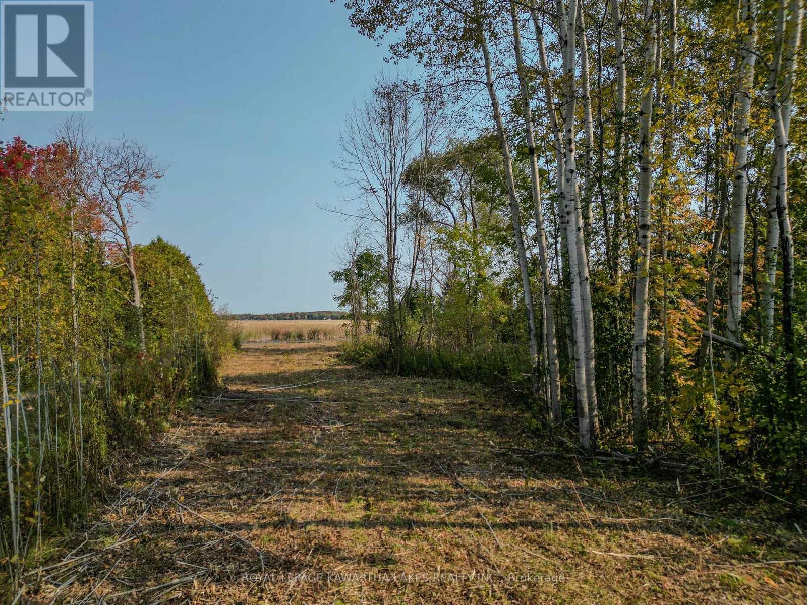 Lt 14 Charlore Park Drive, Kawartha Lakes (Emily), Ontario  K0L 2W0 - Photo 6 - X12373557