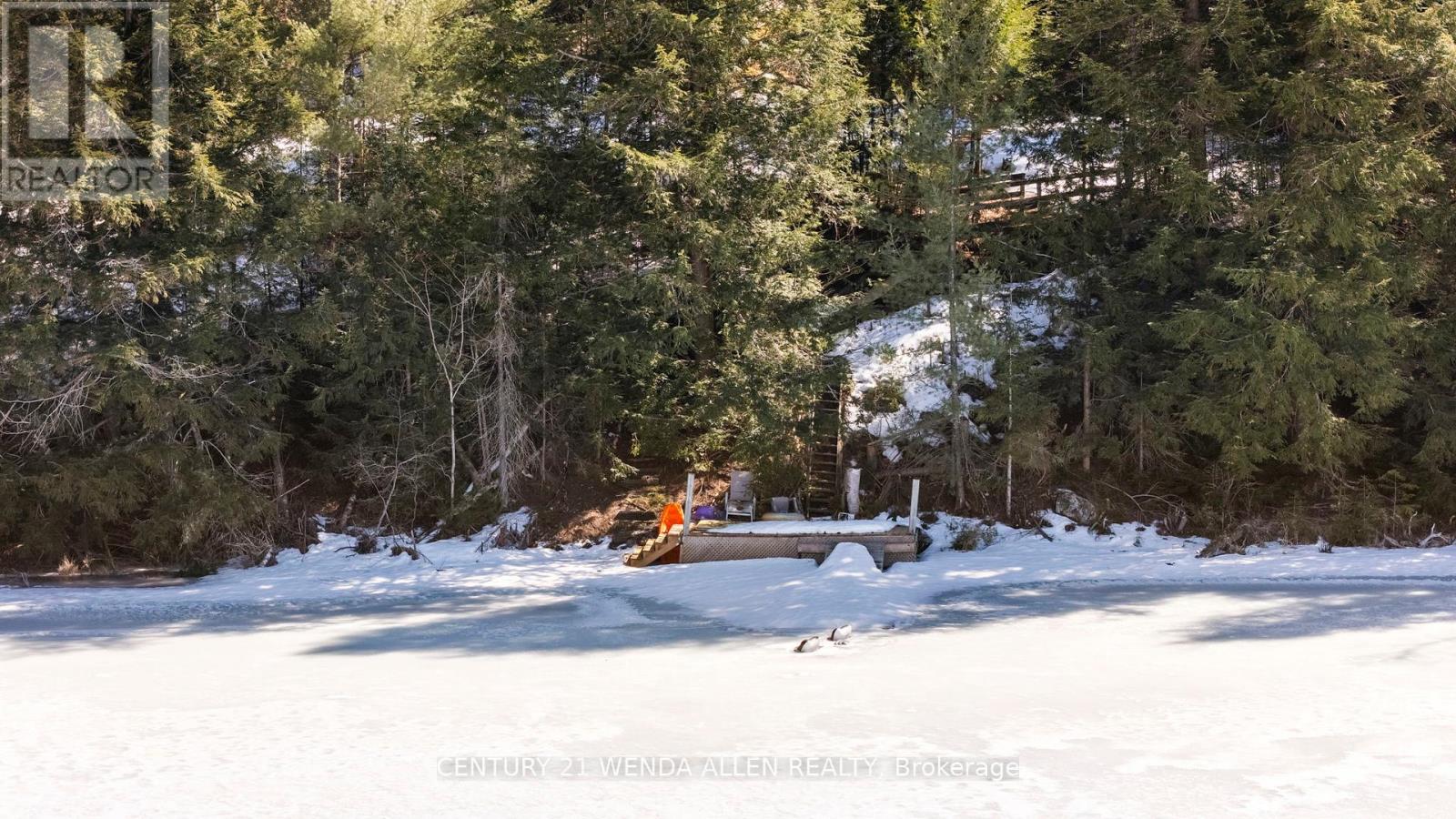 34c Bentley Lake Place, Faraday, Ontario  K0L 1C0 - Photo 49 - X12374513