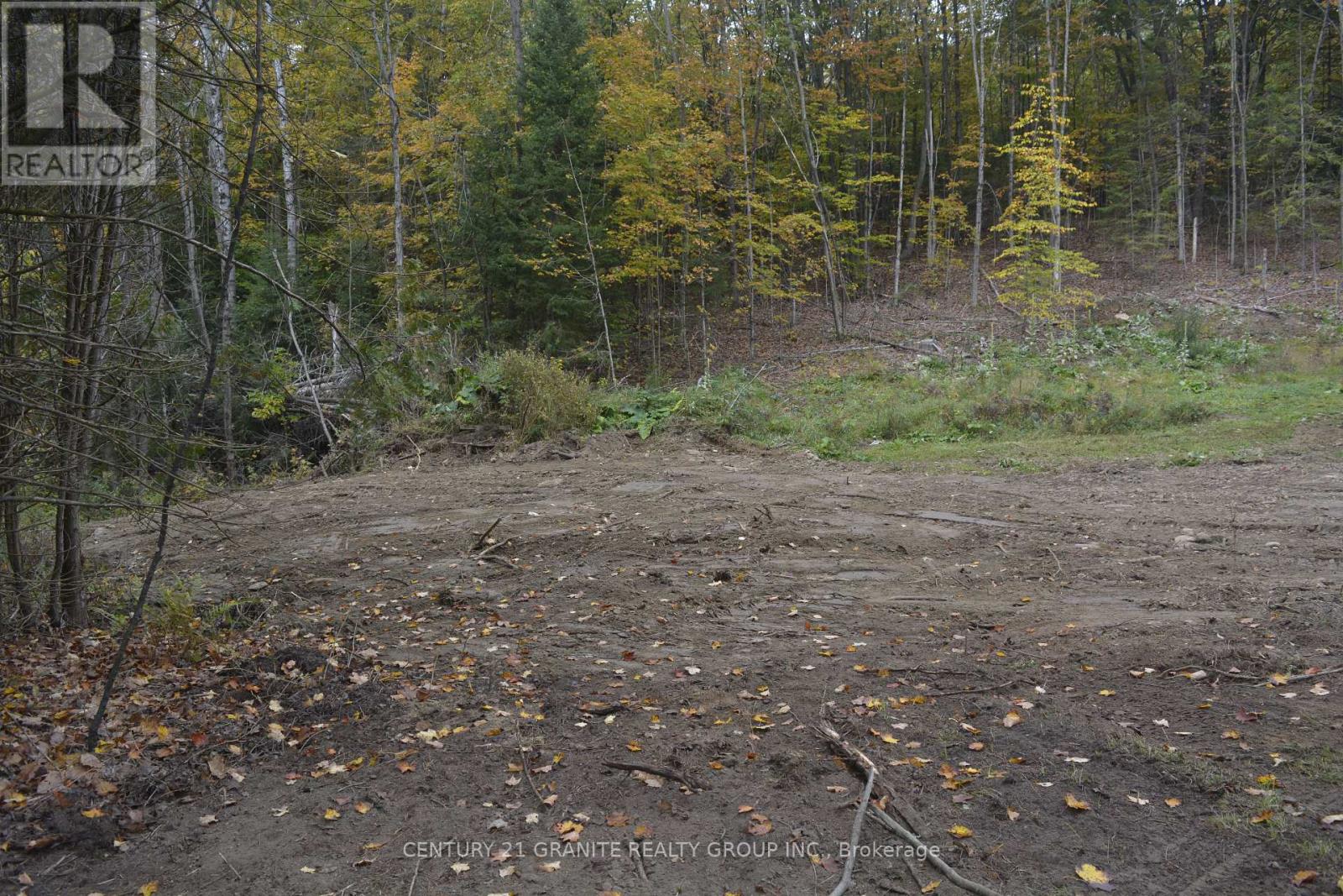 314 Airport Road, Faraday, Ontario  K0L 1C0 - Photo 11 - X12375166
