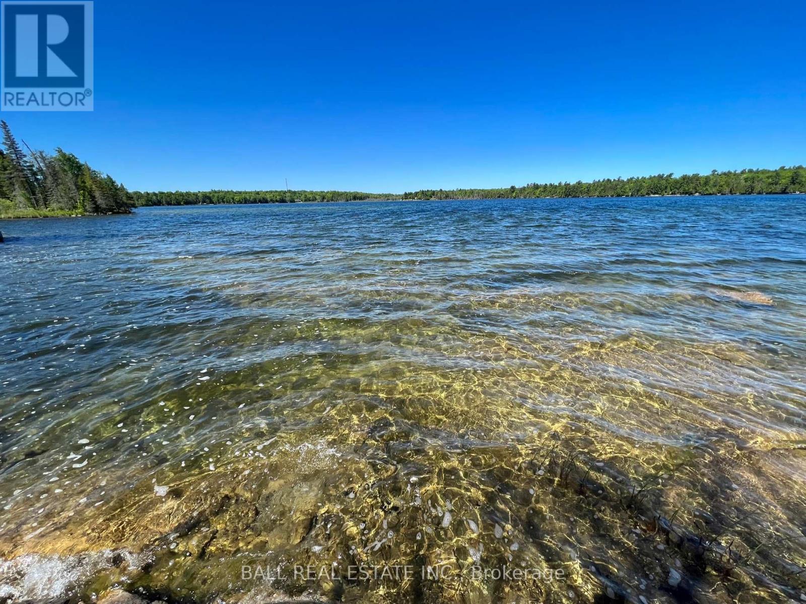 154 Julian Lake Road, North Kawartha, Ontario  K0L 3E0 - Photo 18 - X12375652