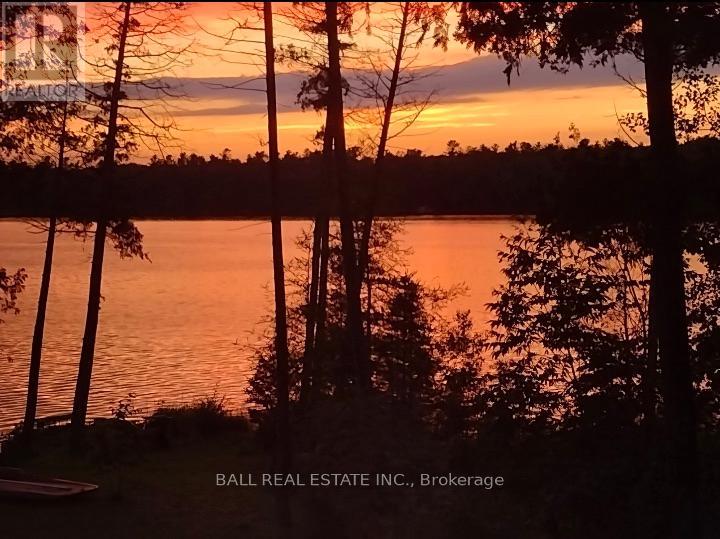 154 Julian Lake Road, North Kawartha, Ontario  K0L 3E0 - Photo 45 - X12375652