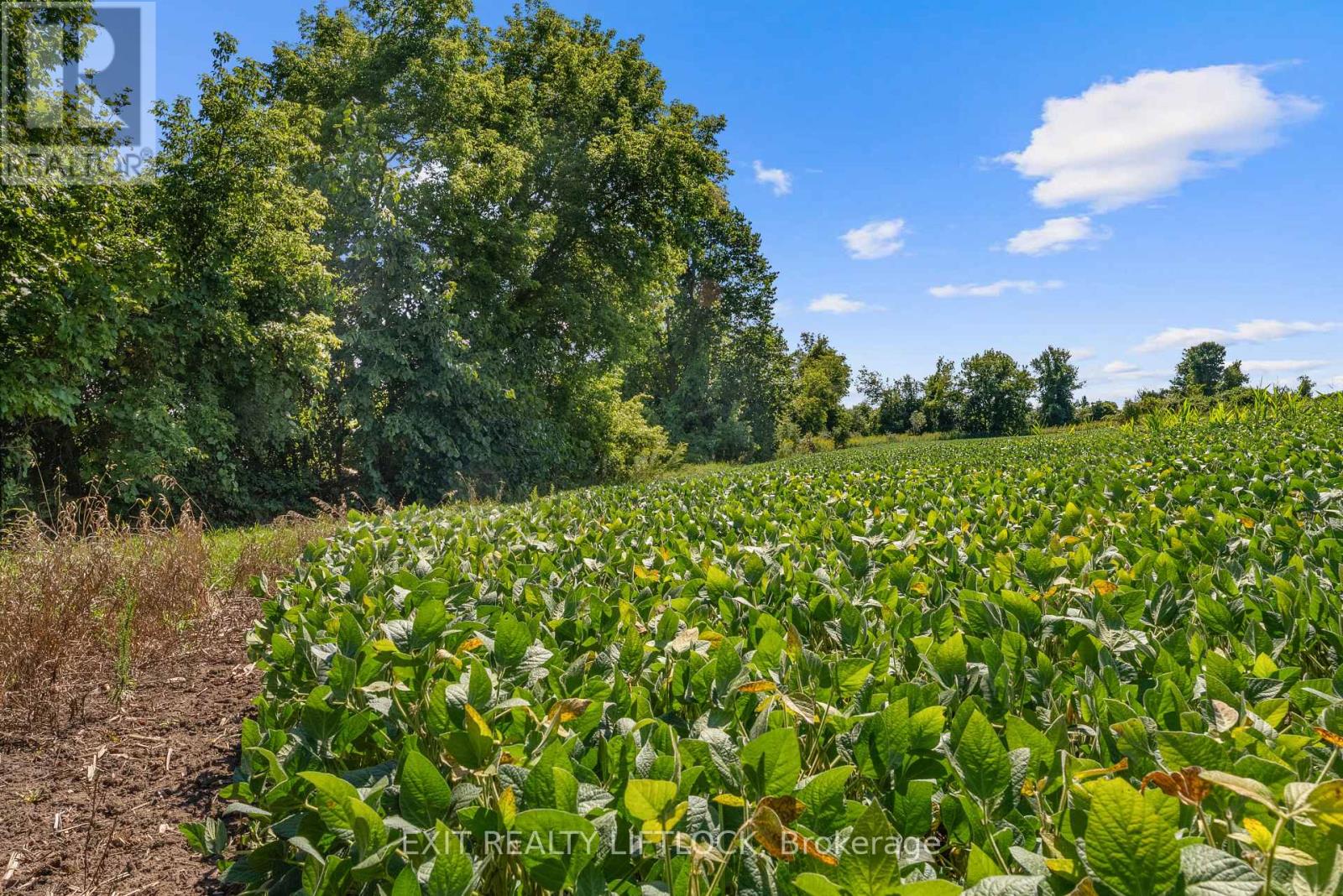 2123 Esson Line, Otonabee-South Monaghan, Ontario  K0L 2B0 - Photo 44 - X12377942
