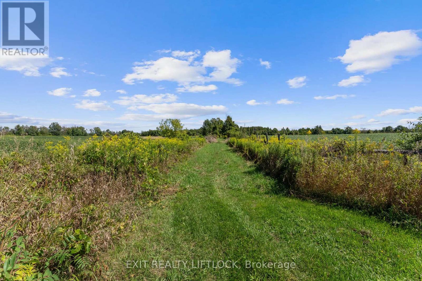 2123 Esson Line, Otonabee-South Monaghan, Ontario  K0L 2B0 - Photo 49 - X12377942