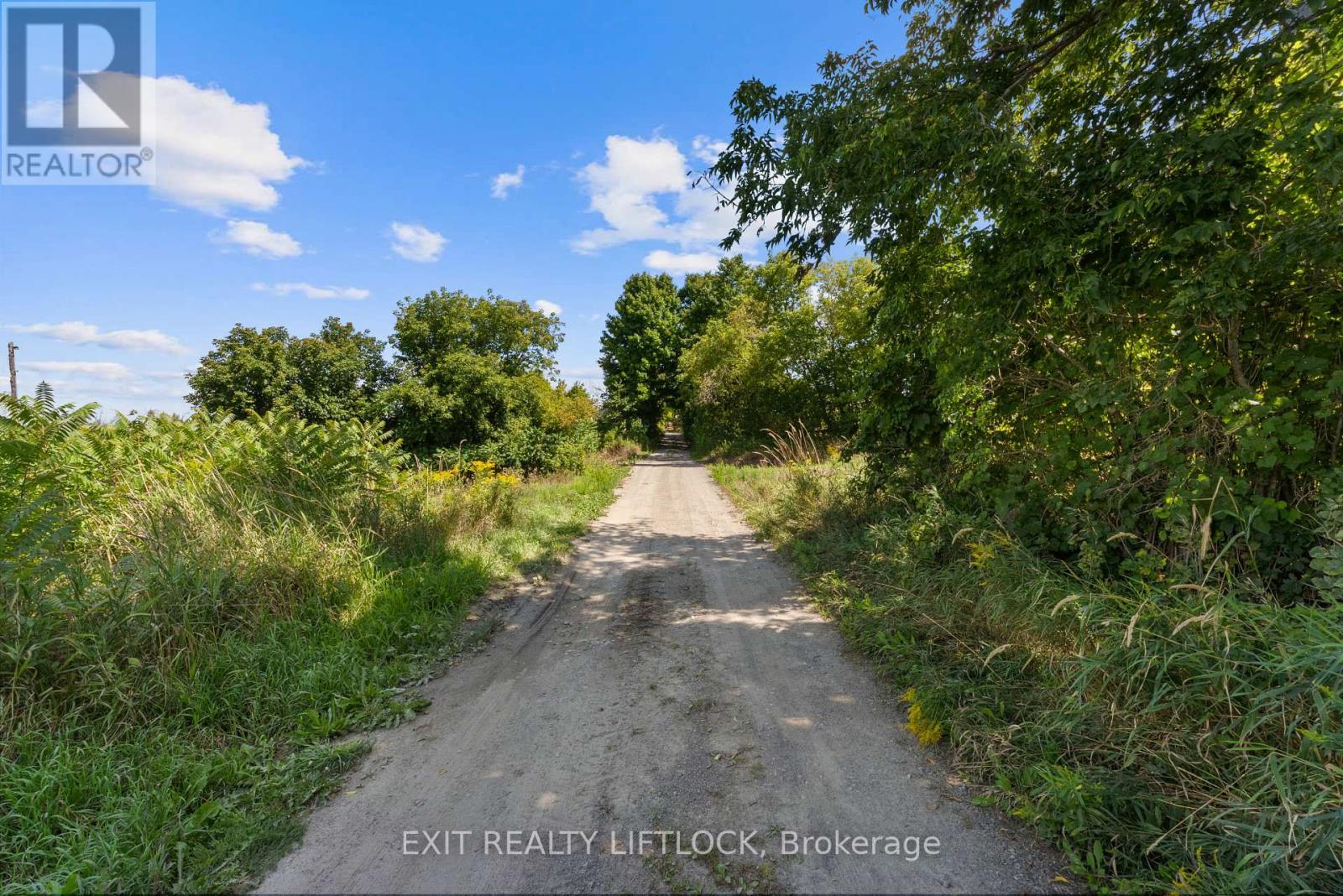 2123 Esson Line, Otonabee-South Monaghan, Ontario  K0L 2B0 - Photo 50 - X12377942