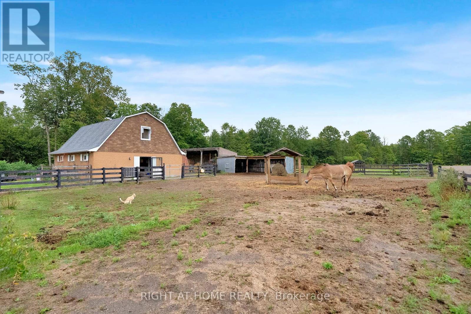 6265 Regional Road 18 Road, Clarington, Ontario  L0A 1J0 - Photo 37 - E12378178