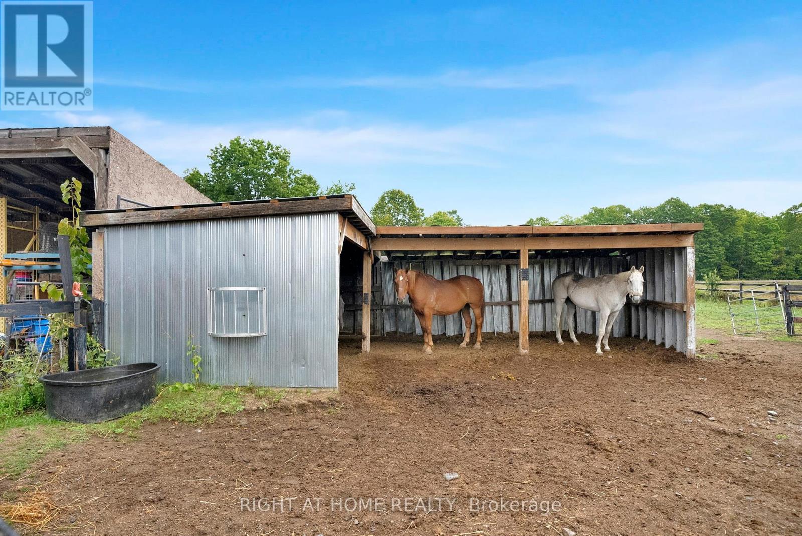 6265 Regional Road 18 Road, Clarington, Ontario  L0A 1J0 - Photo 39 - E12378178