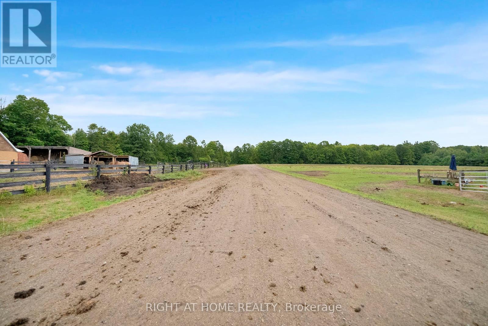 6265 Regional Road 18 Road, Clarington, Ontario  L0A 1J0 - Photo 46 - E12378178
