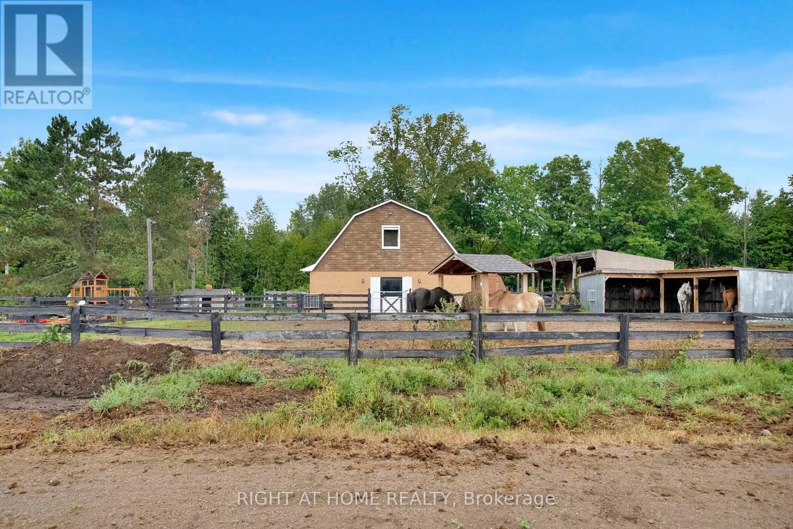 6265 Regional Road 18 Road, Clarington, Ontario  L0A 1J0 - Photo 47 - E12378178