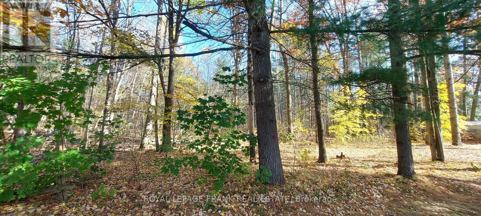 83 Belmont Street, Havelock-Belmont-Methuen (Belmont-Methuen), Ontario  K0L 1Z0 - Photo 35 - X12378851