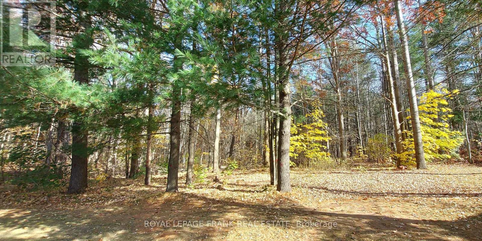 83 Belmont Street, Havelock-Belmont-Methuen (Belmont-Methuen), Ontario  K0L 1Z0 - Photo 38 - X12378851