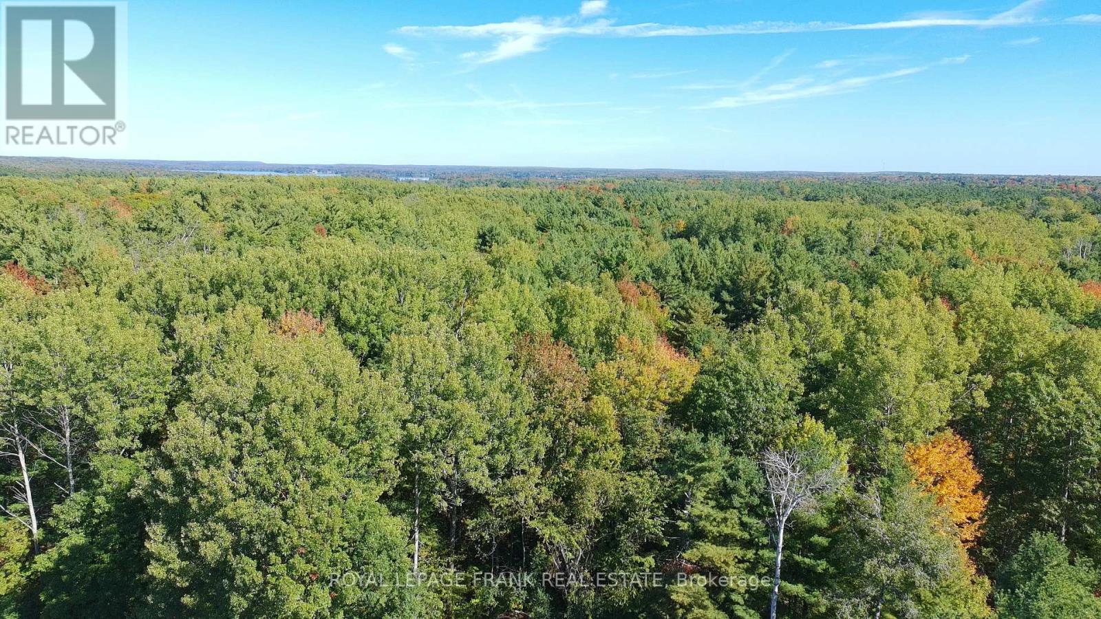 83 Belmont Street, Havelock-Belmont-Methuen (Belmont-Methuen), Ontario  K0L 1Z0 - Photo 40 - X12378851