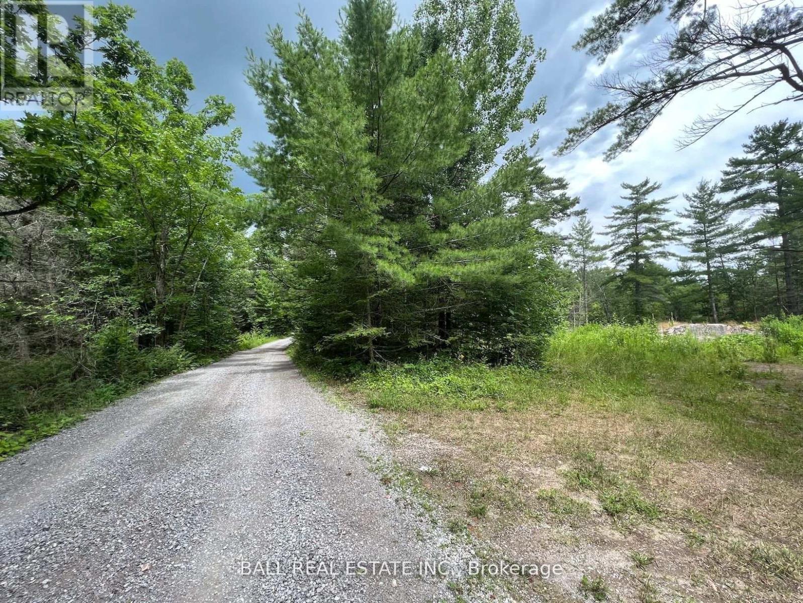3 Fire Route 81, Trent Lakes, Ontario  K0L 1J0 - Photo 3 - X12380786