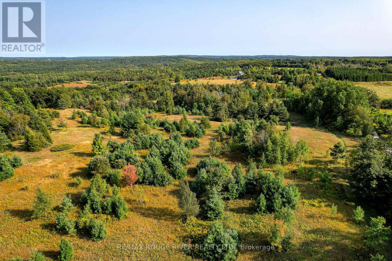 851 Ballyduff Road, Kawartha Lakes (Manvers), Ontario  L0A 1K0 - Photo 38 - X12381359