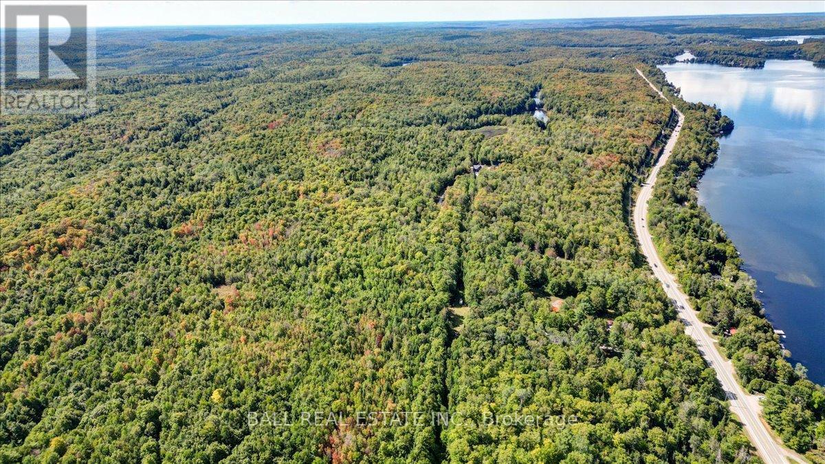 27322 Highway 28, Faraday, Ontario  K0L 1C0 - Photo 50 - X12381392