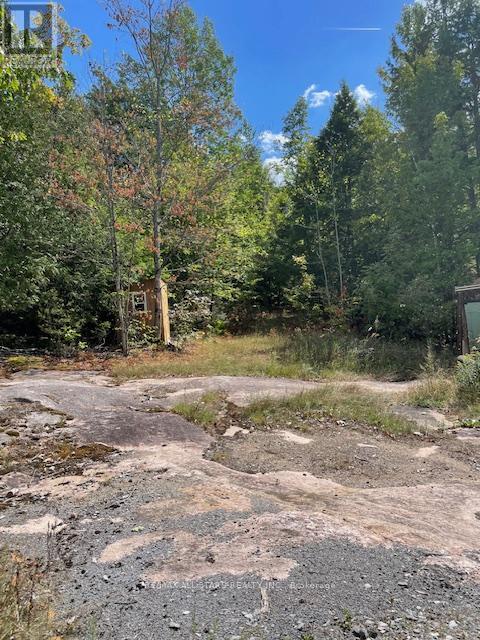 347 Lasswade Road, North Kawartha, Ontario  K0L 1A0 - Photo 2 - X12382290