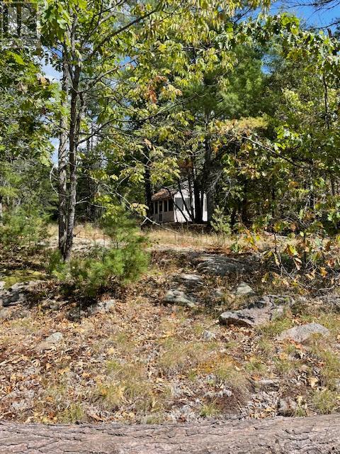 347 Lasswade Road, North Kawartha, Ontario  K0L 1A0 - Photo 3 - X12382290
