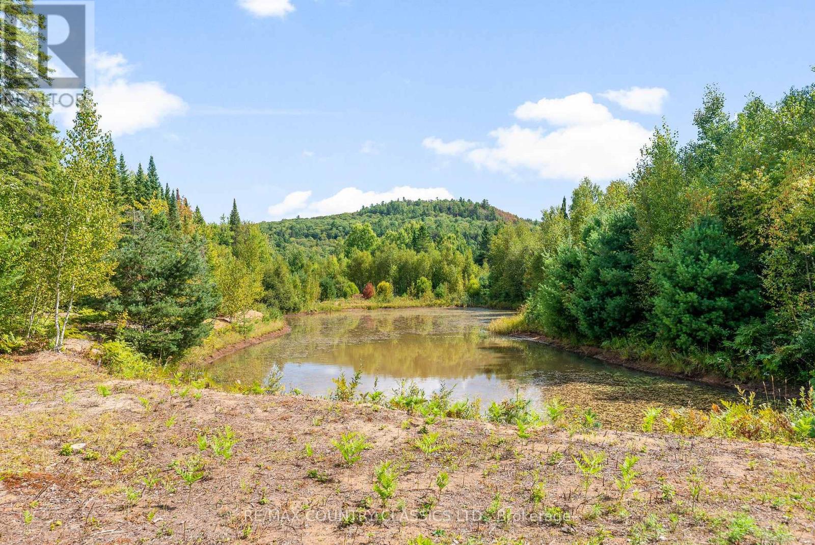 40 Bancroft Ridge Drive, Bancroft (Bancroft Ward), Ontario  K0L 1C0 - Photo 45 - X12383353