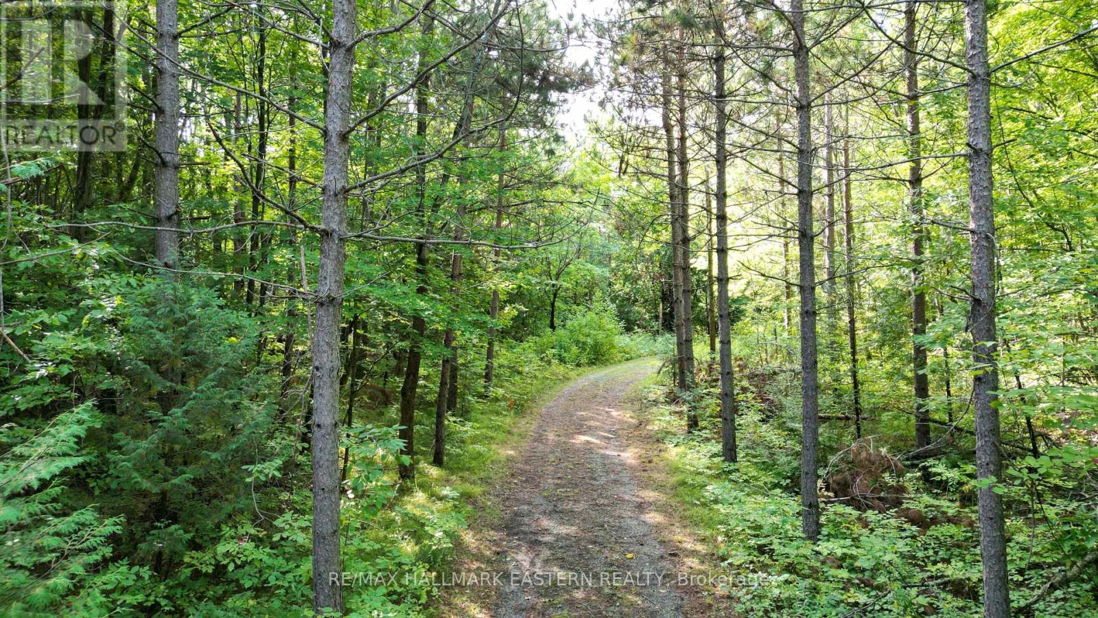 N/a County Road 44, Havelock-Belmont-Methuen, Ontario  K0L 1Z0 - Photo 6 - X12384869