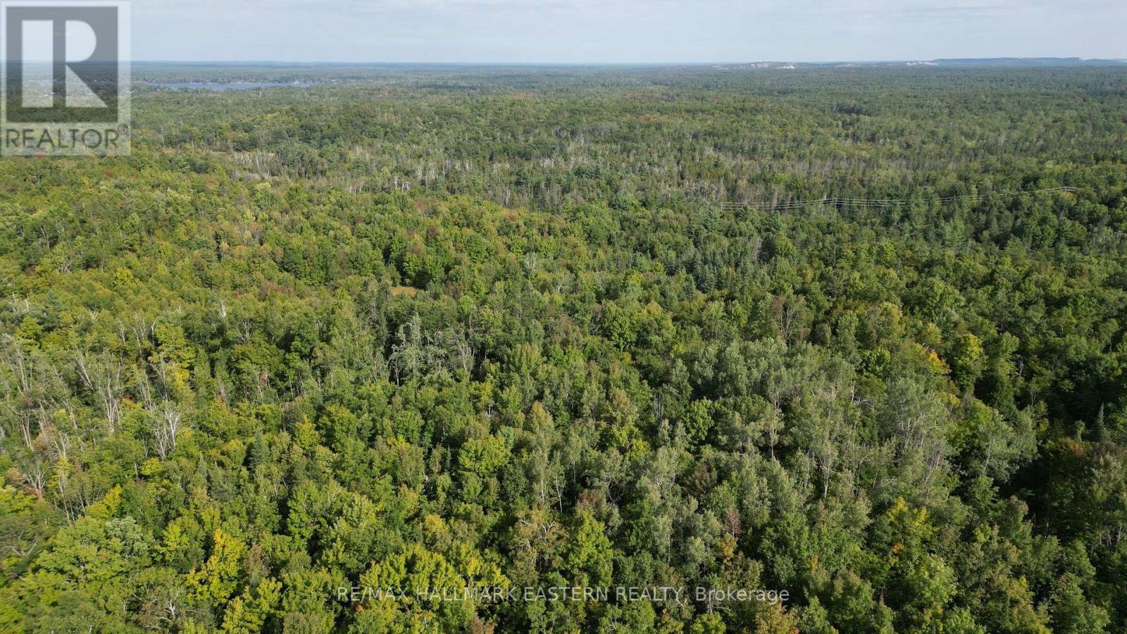N/a County Road 44, Havelock-Belmont-Methuen, Ontario  K0L 1Z0 - Photo 8 - X12384869