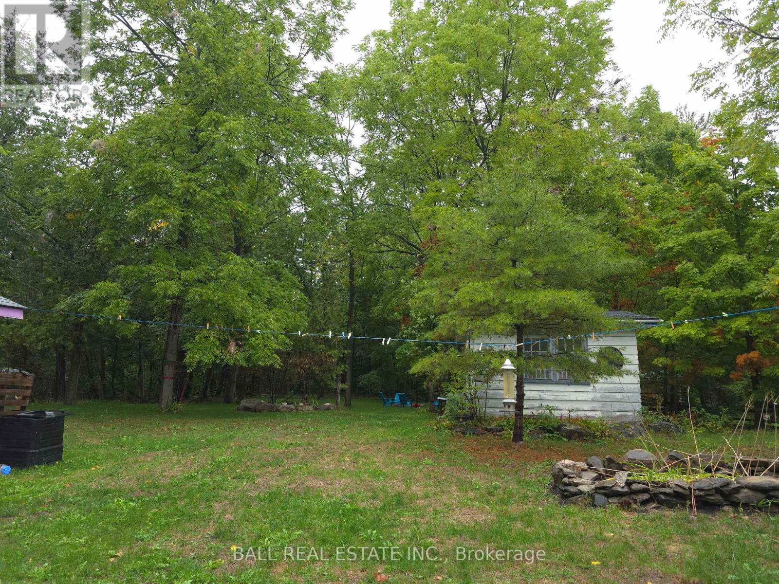 2056 Young's Point Road, Selwyn, Ontario  K0L 2H0 - Photo 44 - X12386353