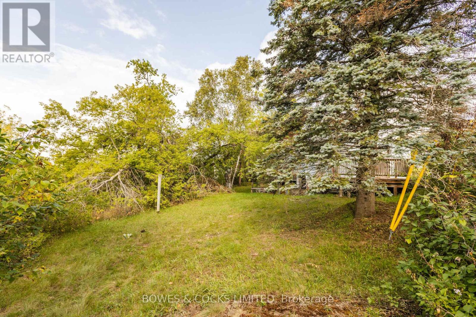 19 Jakeman Street, Kawartha Lakes (Manvers), Ontario  L0A 1A0 - Photo 13 - X12388702
