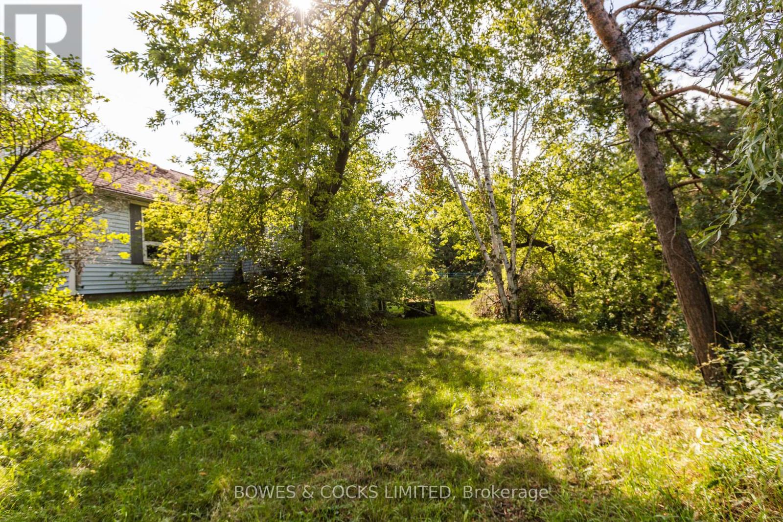 19 Jakeman Street, Kawartha Lakes (Manvers), Ontario  L0A 1A0 - Photo 14 - X12388702