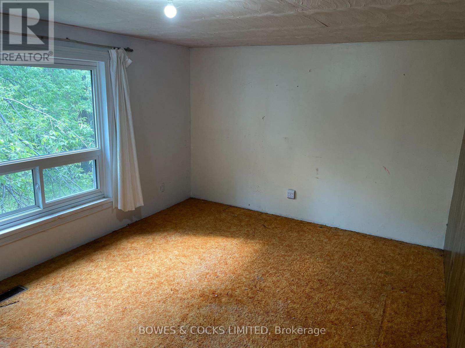19 Jakeman Street, Kawartha Lakes (Manvers), Ontario  L0A 1A0 - Photo 27 - X12388702