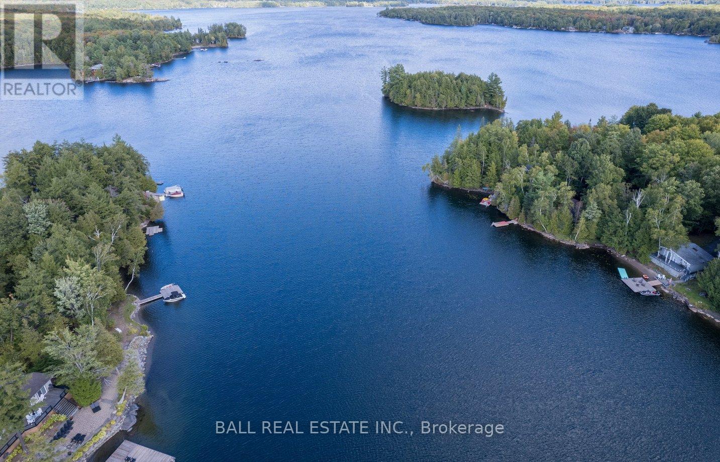 45 Hemlock Point Road, North Kawartha, Ontario  K0L 1A0 - Photo 22 - X12389129
