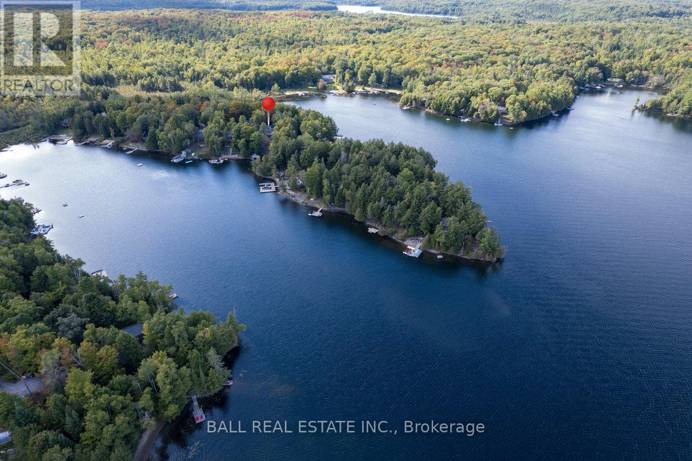 45 Hemlock Point Road, North Kawartha, Ontario  K0L 1A0 - Photo 26 - X12389129