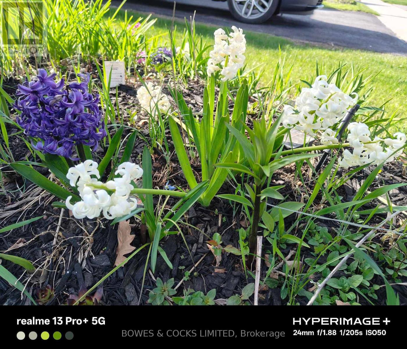 210 Farrier Crescent, Peterborough (Northcrest Ward 5), Ontario  K9L 0A6 - Photo 50 - X12389497