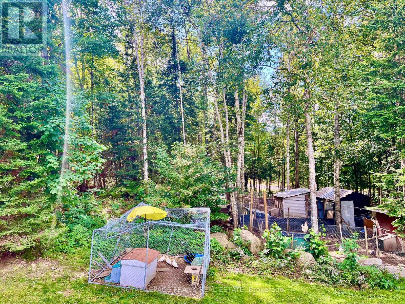 1630 Musclow Greenview Road, Hastings Highlands (Monteagle Ward), Ontario  K0L 1C0 - Photo 22 - X12389923