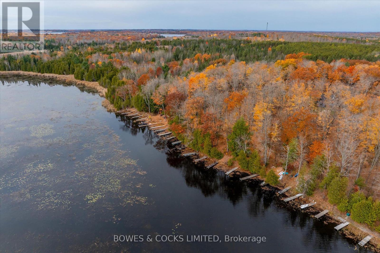 9 Phillips Court, Trent Lakes, Ontario  K0L 1J0 - Photo 47 - X12390064