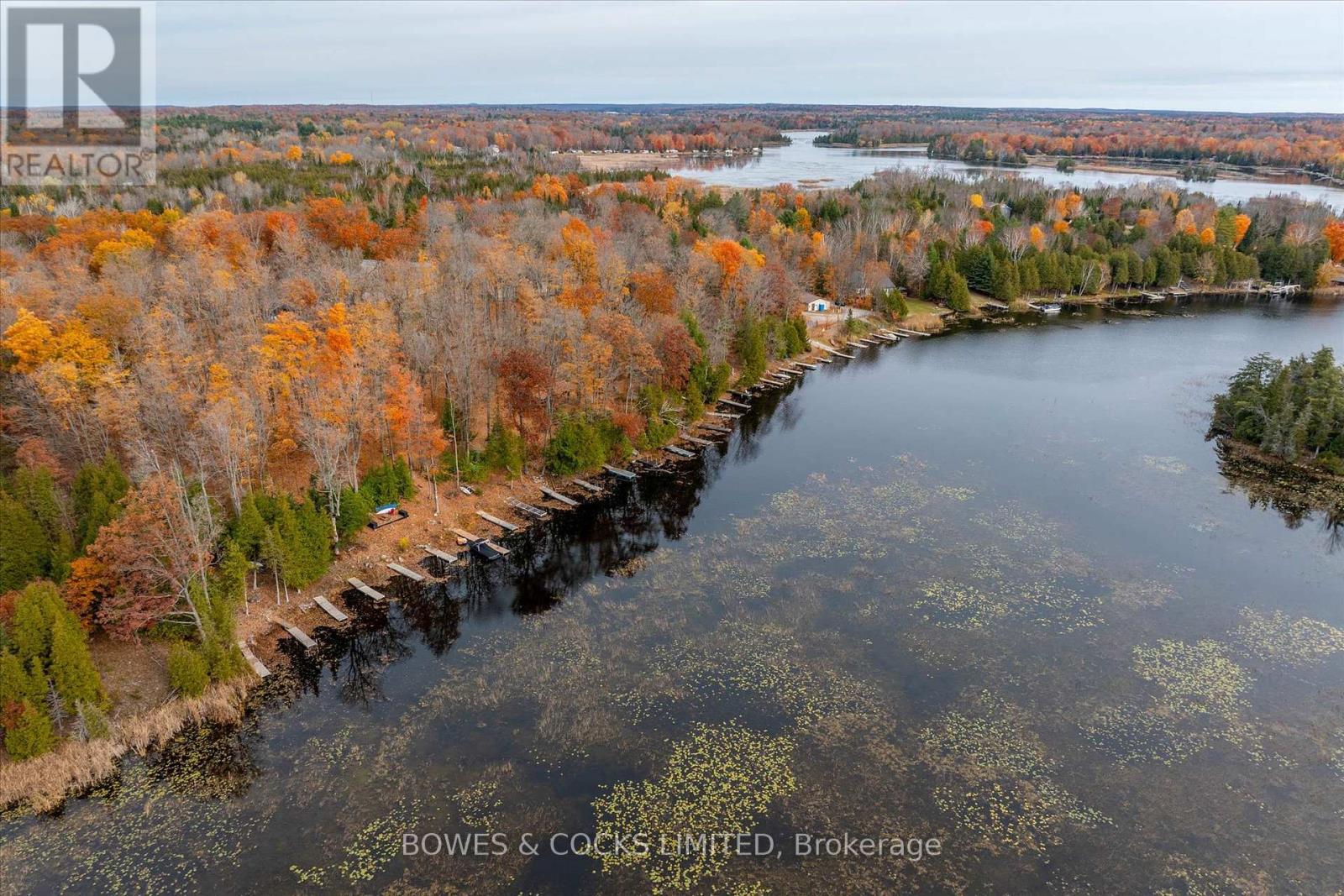 9 Phillips Court, Trent Lakes, Ontario  K0L 1J0 - Photo 48 - X12390064