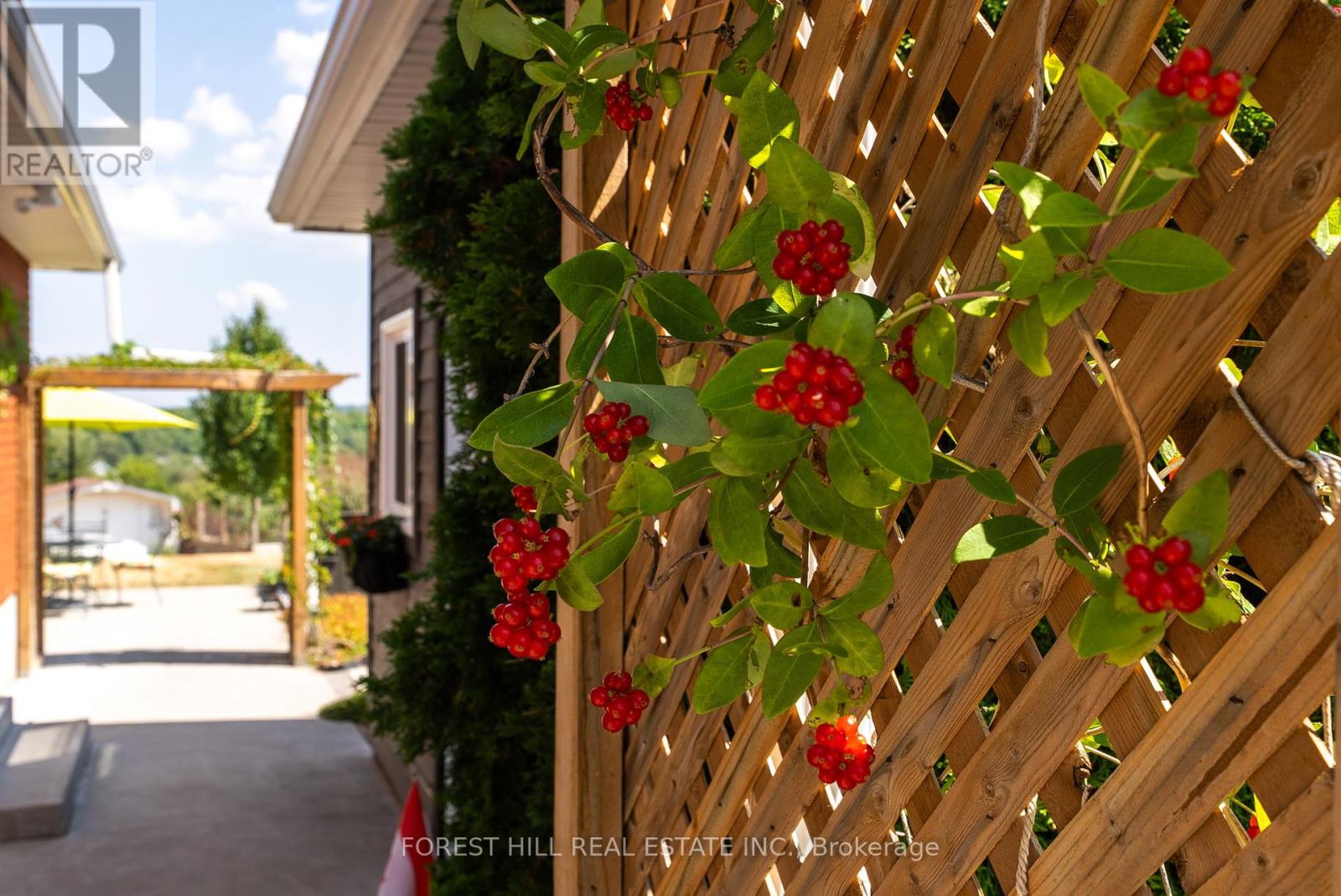 53 Nurse Avenue, Selwyn, Ontario  K0L 1T0 - Photo 41 - X12390020