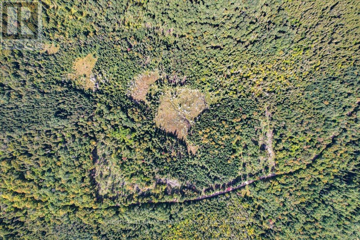 2366 Burnt Bridge Road, Lyndoch And Raglan, Ontario  K0L 1G0 - Photo 15 - X12391084