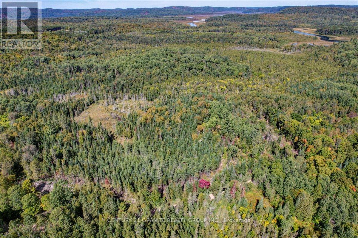 2366 Burnt Bridge Road, Lyndoch And Raglan, Ontario  K0L 1G0 - Photo 17 - X12391084