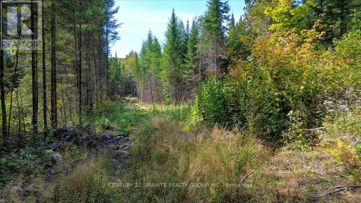 2366 Burnt Bridge Road, Lyndoch And Raglan, Ontario  K0L 1G0 - Photo 22 - X12391084
