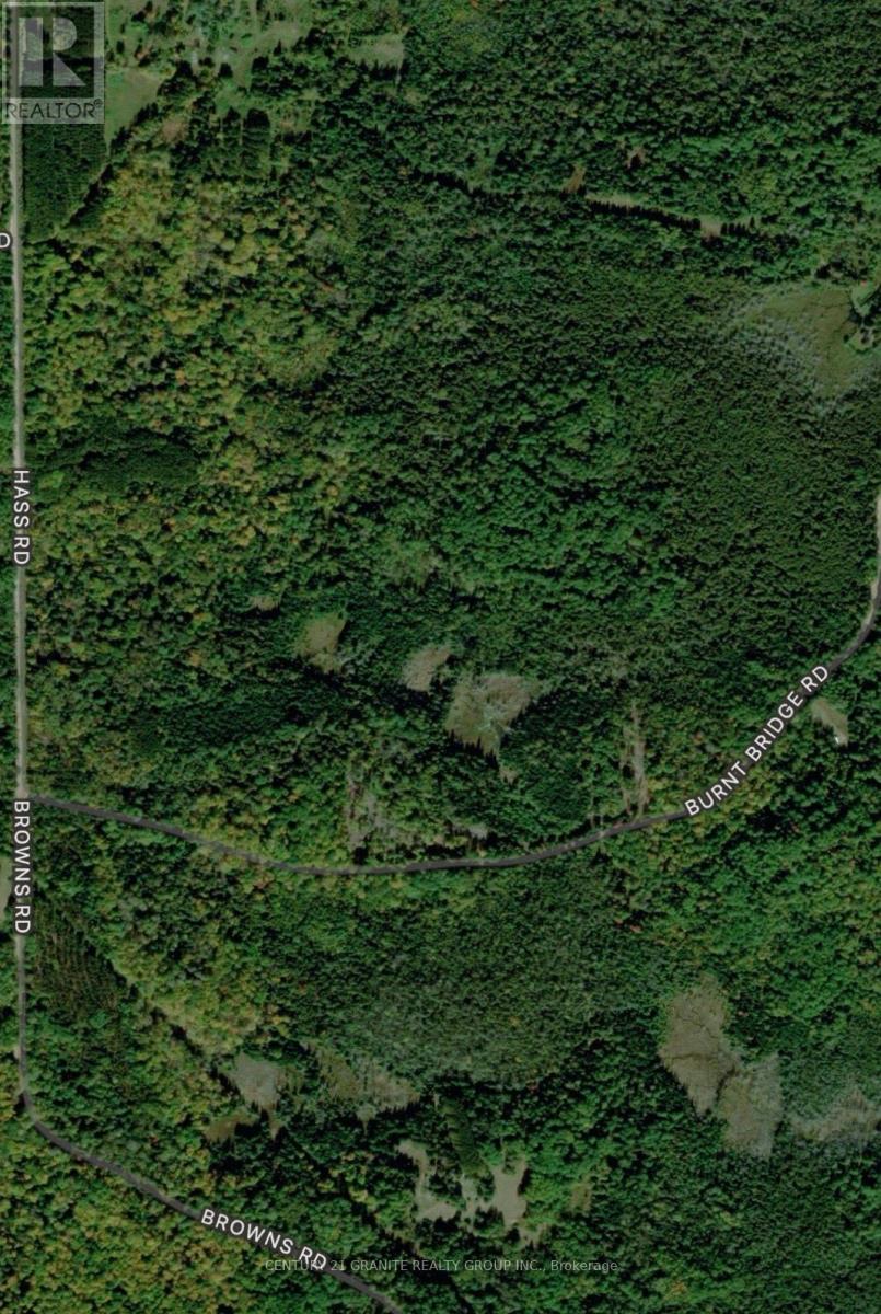 2366 Burnt Bridge Road, Lyndoch And Raglan, Ontario  K0L 1G0 - Photo 4 - X12391084