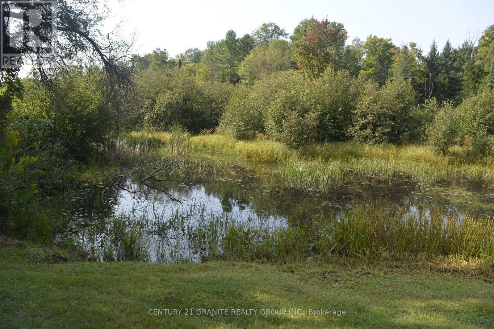178 Hastings Street N, Bancroft (Bancroft Ward), Ontario  K0L 1C0 - Photo 32 - X12391722