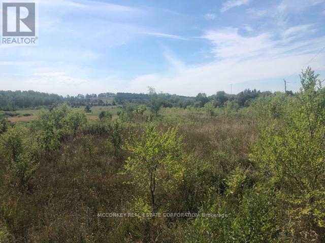 3931 Wallace Point Road, Otonabee-South Monaghan, Ontario  K9J 0E4 - Photo 13 - X12393540