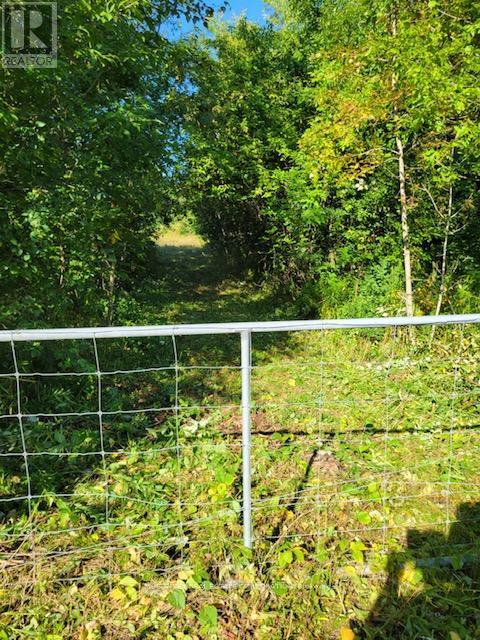 3931 Wallace Point Road, Otonabee-South Monaghan, Ontario  K9J 0E4 - Photo 15 - X12393540