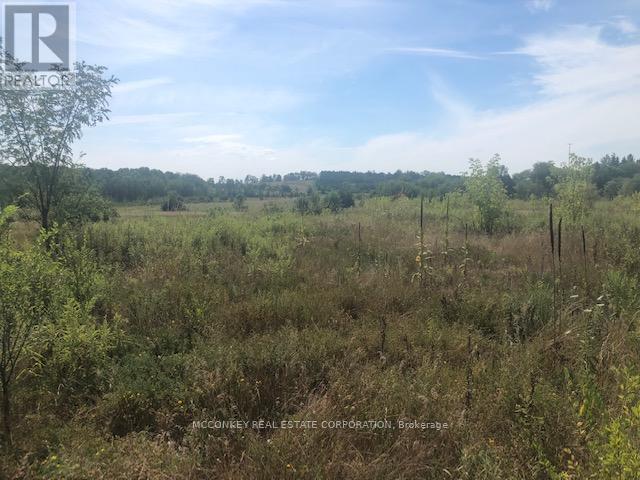 3931 Wallace Point Road, Otonabee-South Monaghan, Ontario  K9J 0E4 - Photo 8 - X12393540