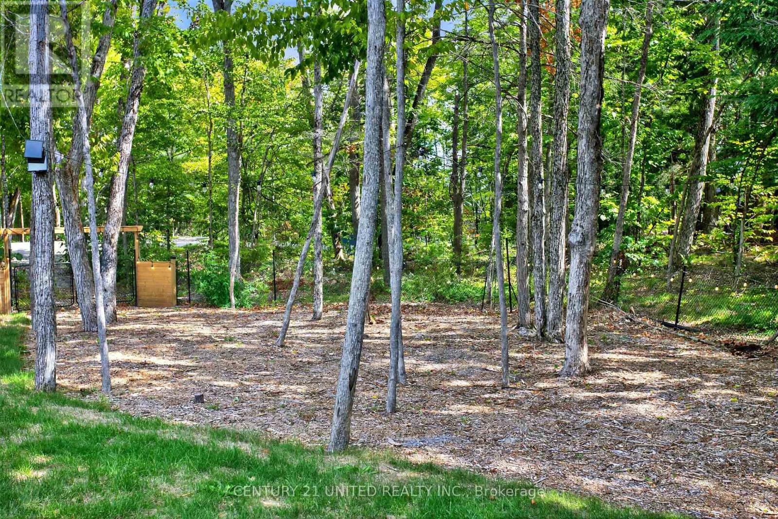 322 Elbow Point Road, Trent Lakes, Ontario  K0L 1J0 - Photo 35 - X12394360