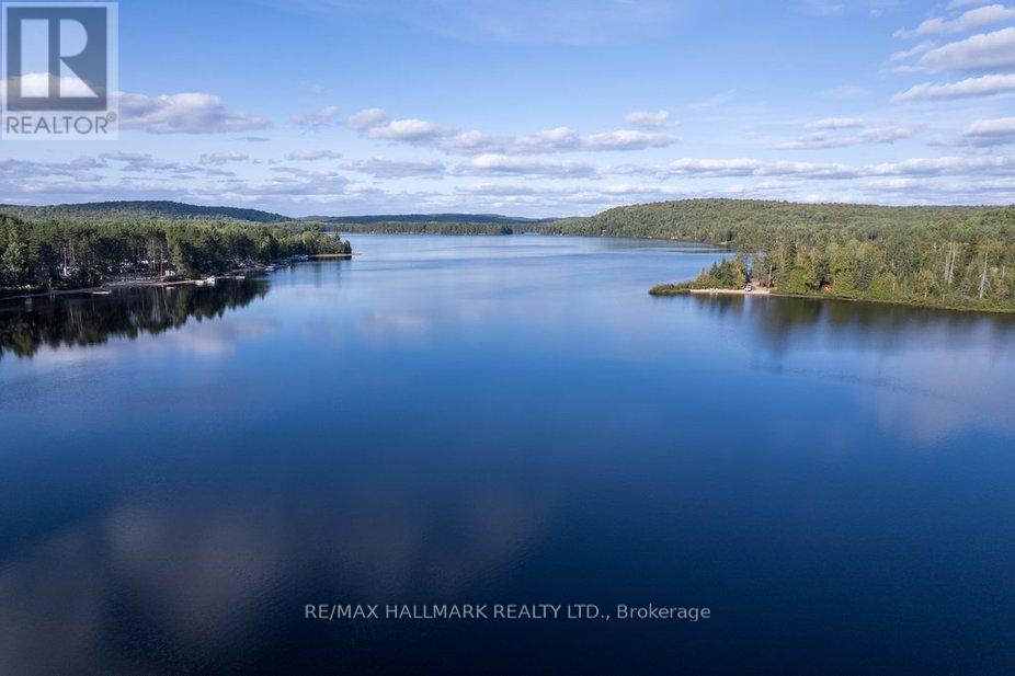 35b Card Road, Hastings Highlands (Mcclure Ward), Ontario  K0L 2K0 - Photo 23 - X12395789
